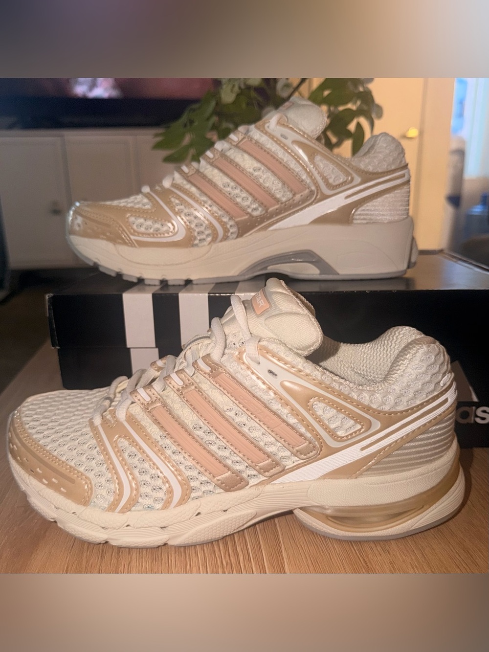 New Women's 7, adidas Adistar Control 5 Sneaker